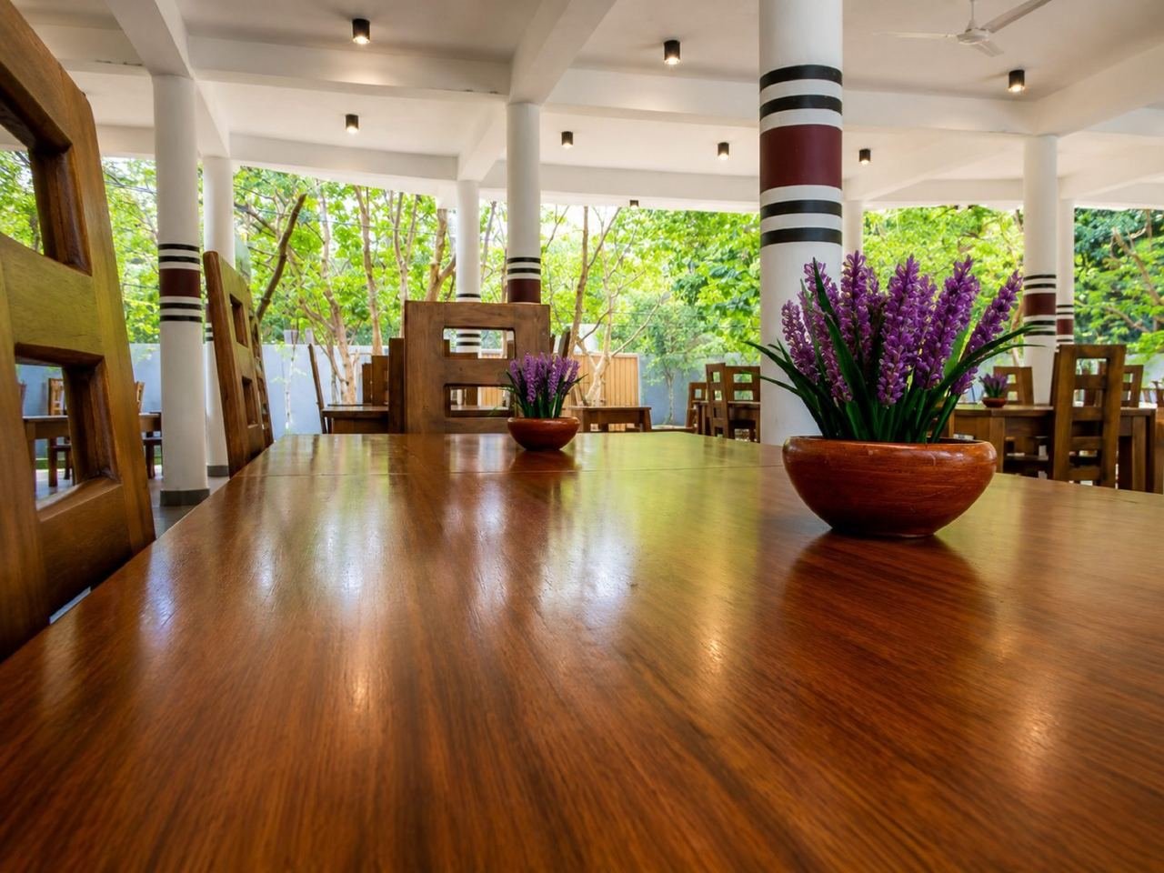 Hotel for Sale in Habarana – Sigiriya - photo 10