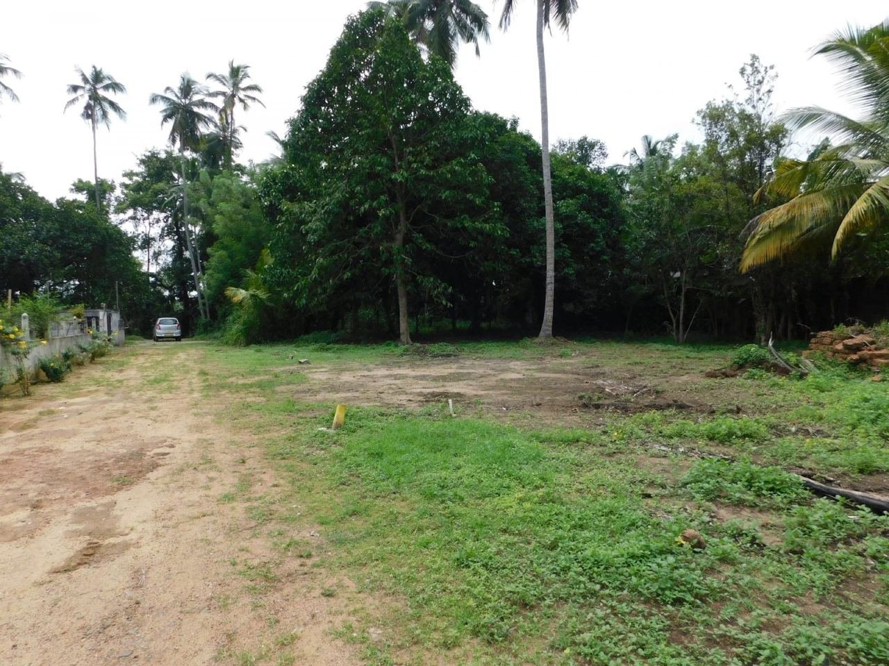Land for Sale in Gothatuwa IDH new town - photo 6