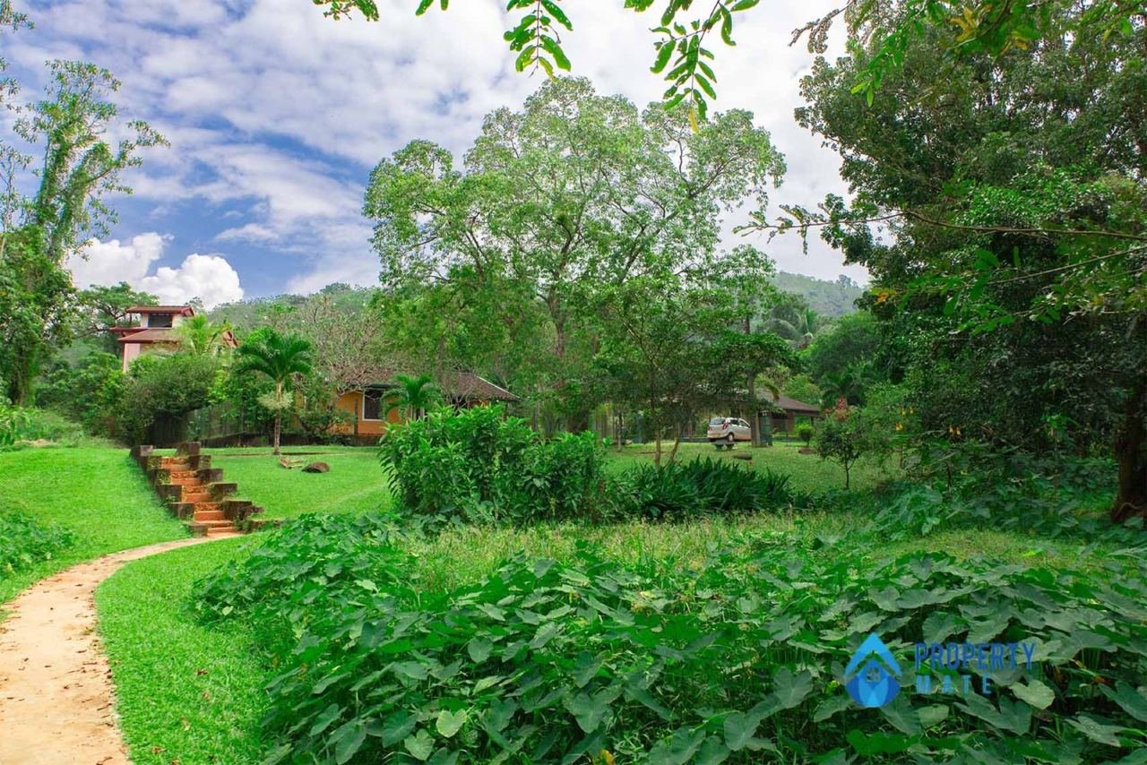 Two Storey House for rent in Horana Poruwadanda - photo 9