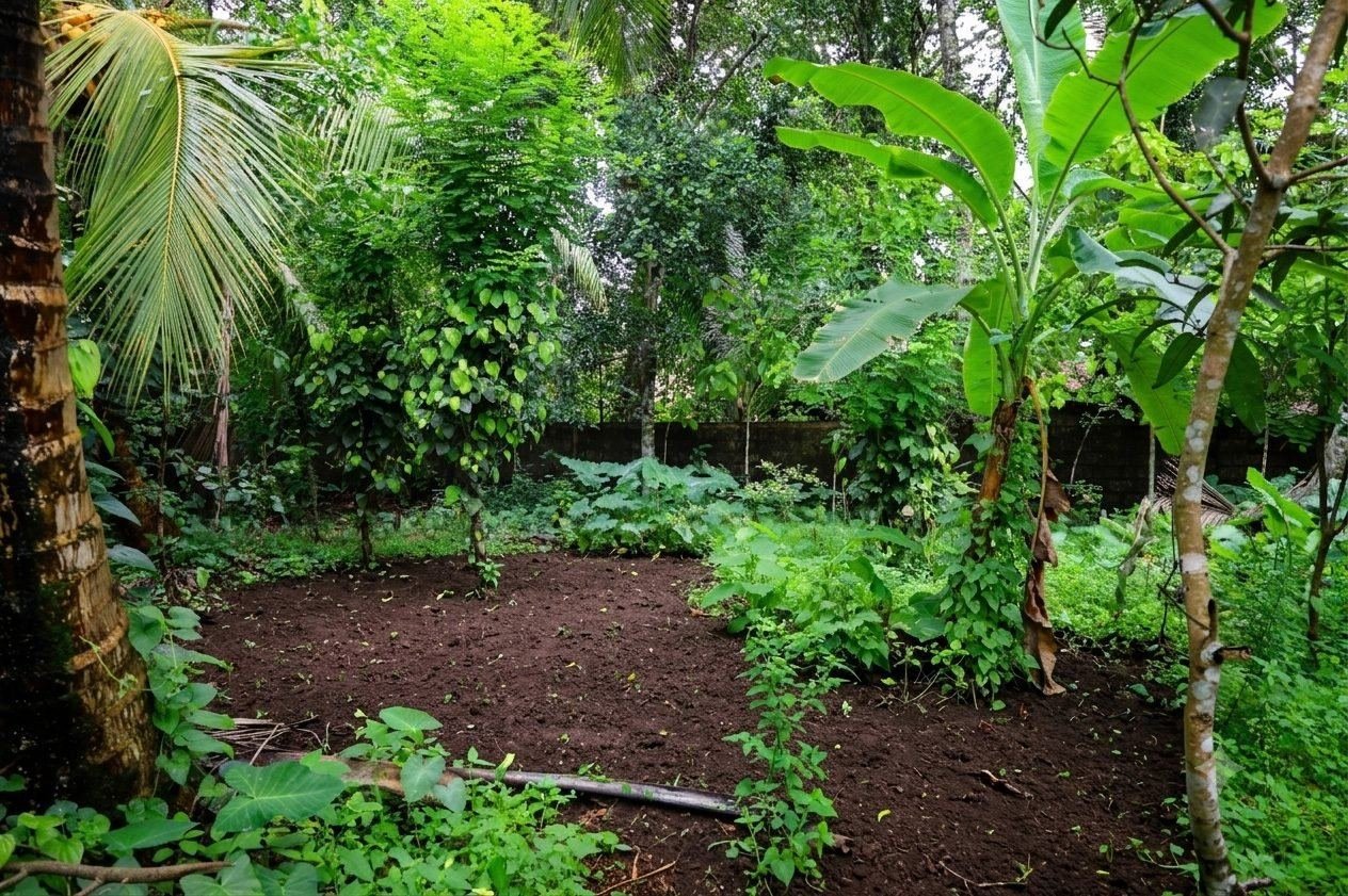 House for sale in Horana Dombagoda β photo 3