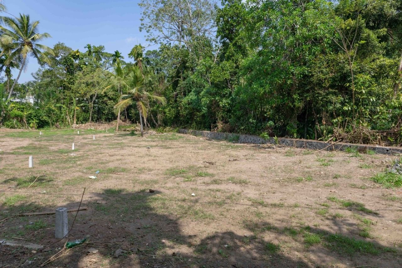 Land for sale in Kesbewa Kahathuduwa - photo 3