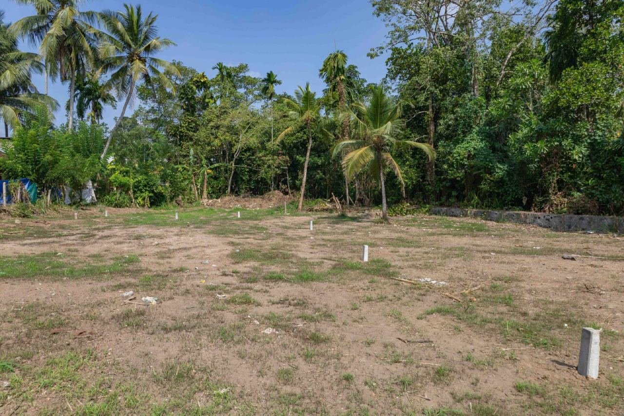 Land for sale in Kesbewa Kahathuduwa - photo 4