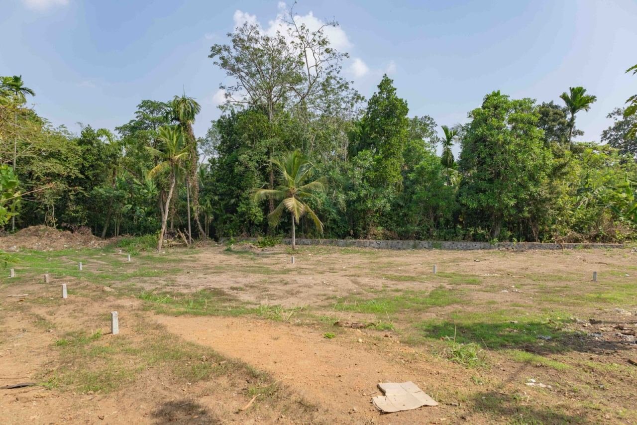 Land for sale in Kesbewa Kahathuduwa - photo 1