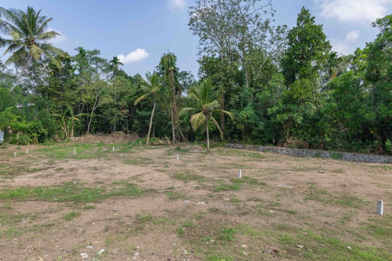 Land for sale in Kesbewa Kahathuduwa - photo 6