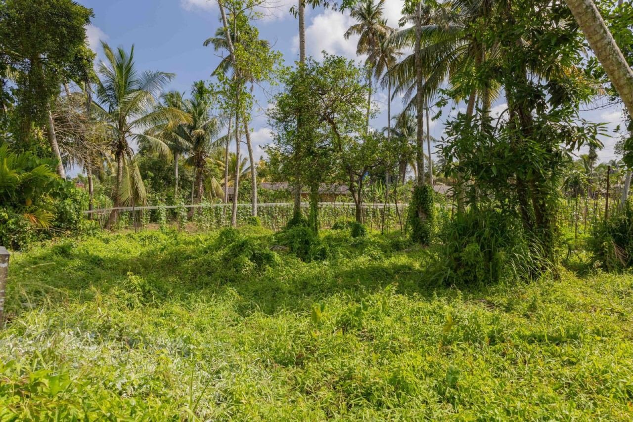 Land for sale in Beruwala Hettimulla - photo 4