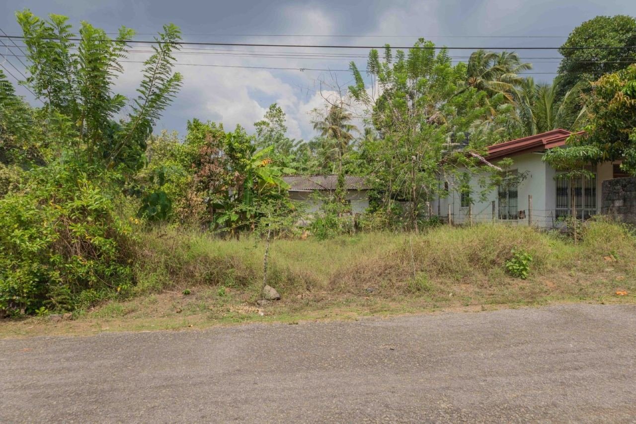Land for sale in Homagama Pitipana - photo 3