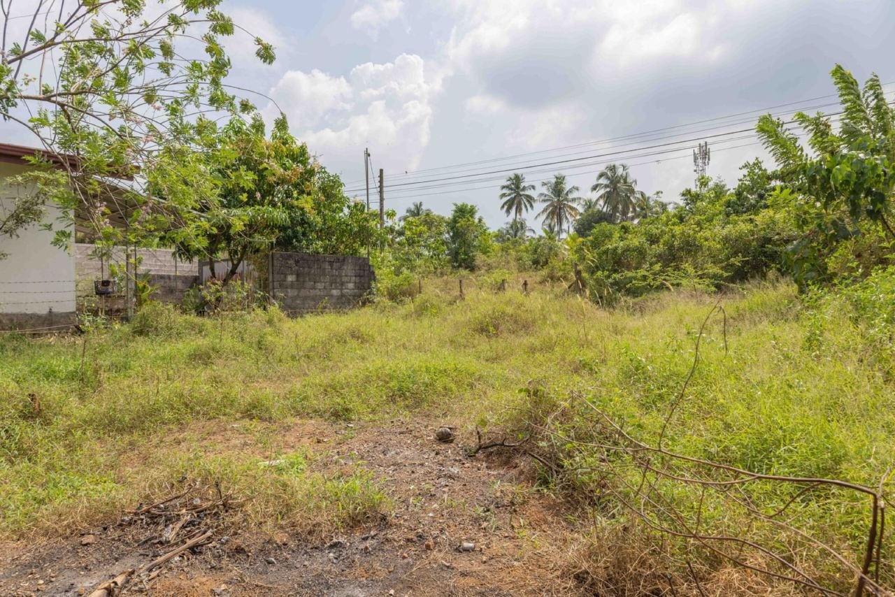 Land for sale in Homagama Pitipana - photo 5