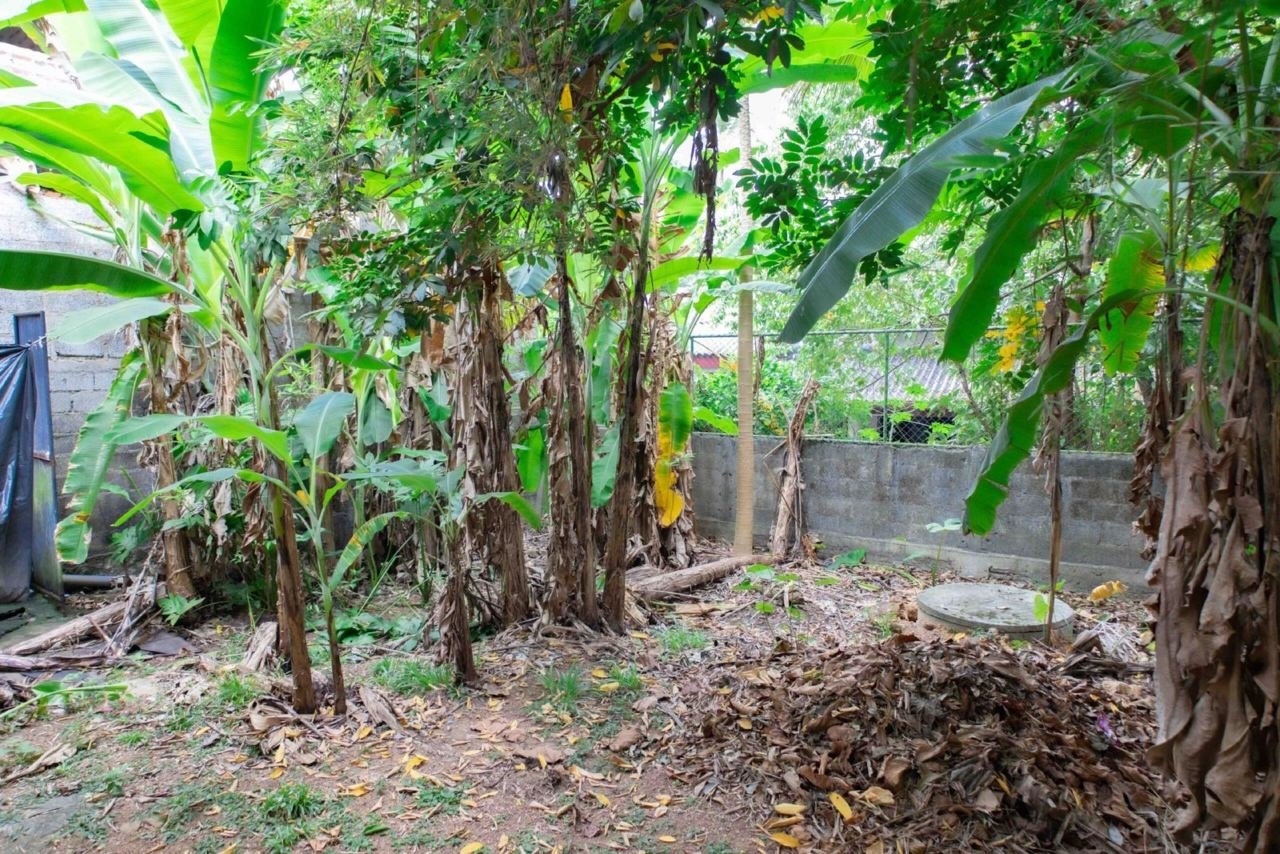 Land for sale in Kiribathgoda Makola - photo 6