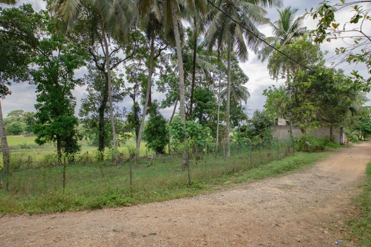 Land for sale in Athurugiriya Habarakada - photo 3