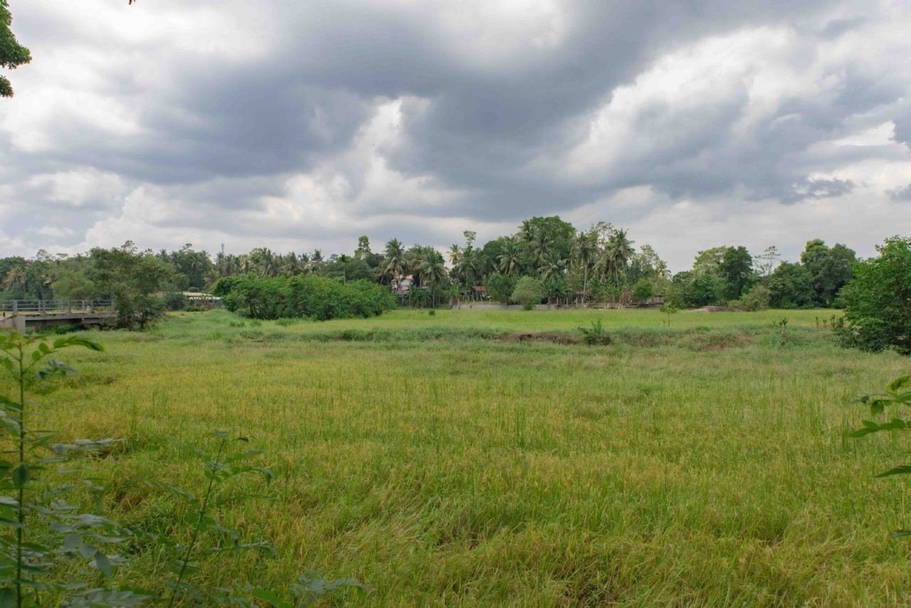 Land for sale in Athurugiriya Habarakada - photo 5