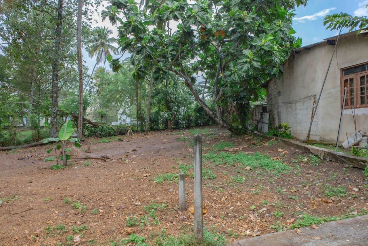 Land for sale in Boralesgamuwa Neelammahara - photo 3