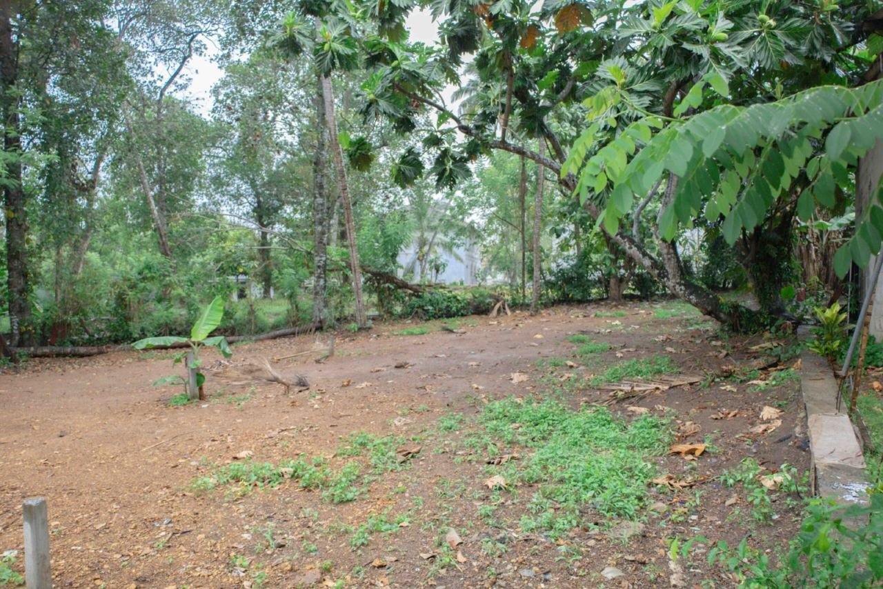 Land for sale in Boralesgamuwa Neelammahara - photo 4