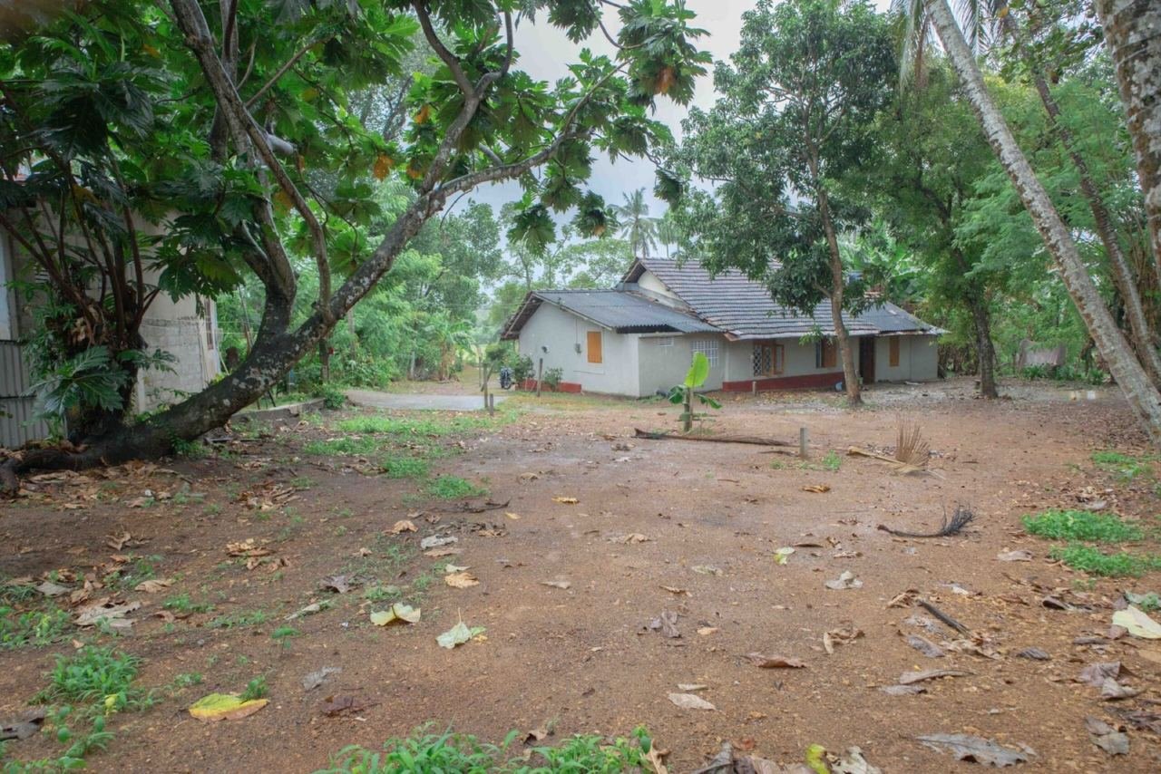 Land for sale in Boralesgamuwa Neelammahara - photo 1