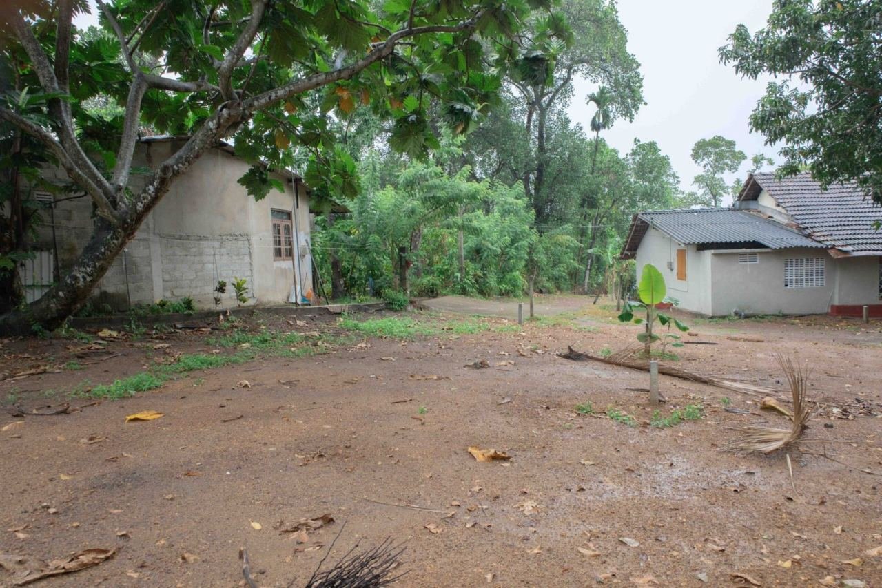 Land for sale in Boralesgamuwa Neelammahara - photo 5