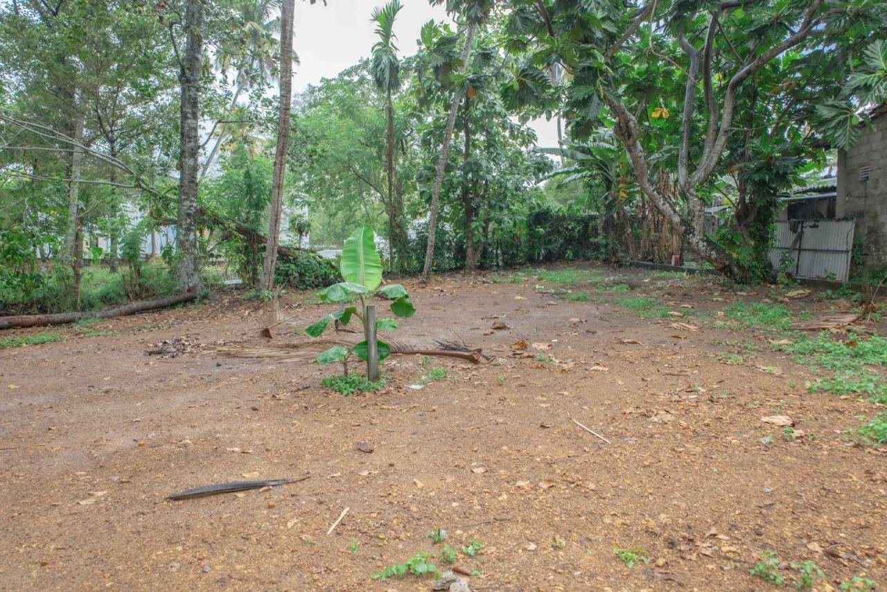 Land for sale in Boralesgamuwa Neelammahara - photo 2