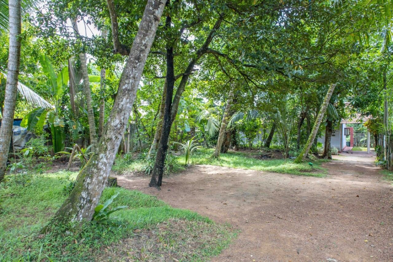 Land for sale in Malabe Kotalawala - photo 2