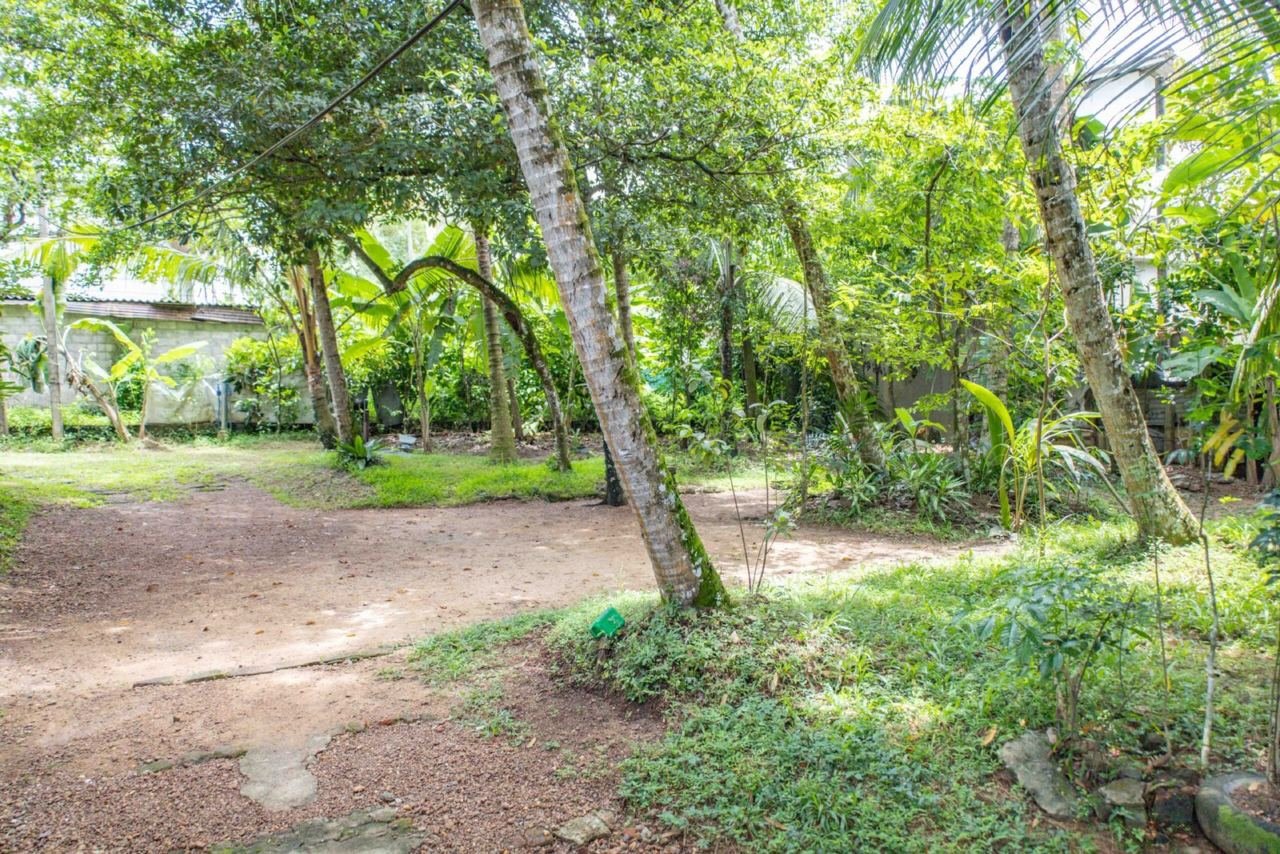 Land for sale in Malabe Kotalawala - photo 3