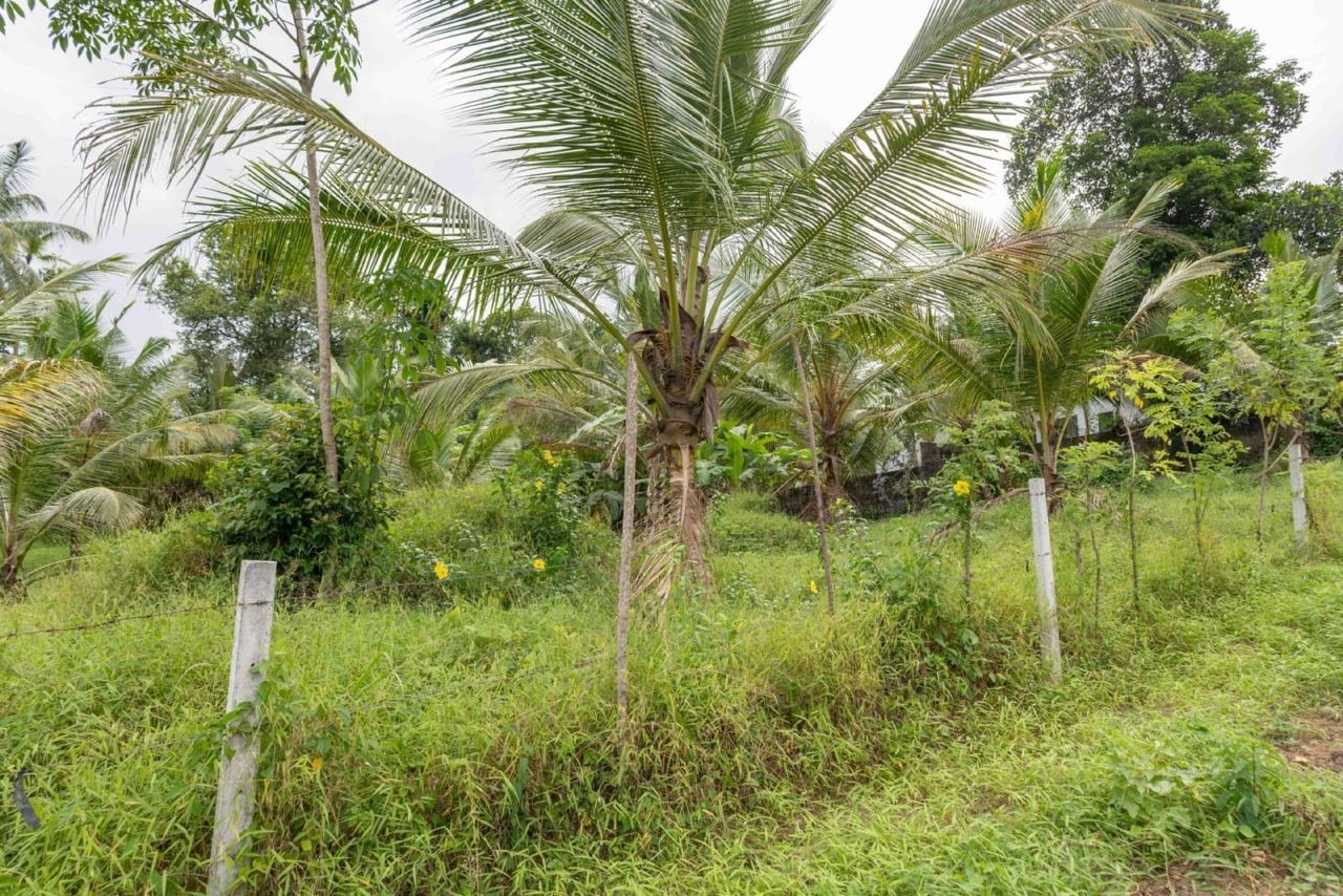 Land for sale in Homagama Pitipana - photo 3