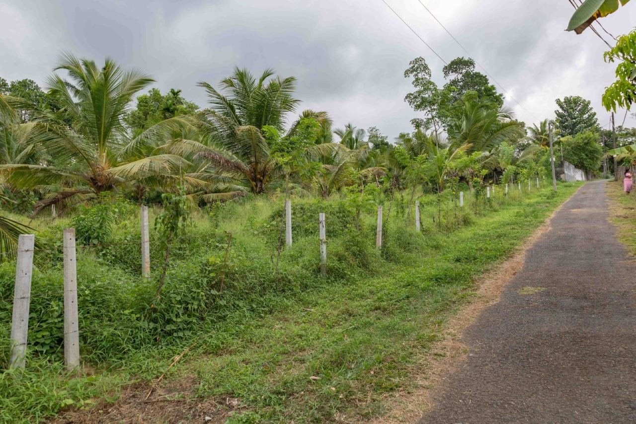 Land for sale in Homagama Pitipana - photo 2