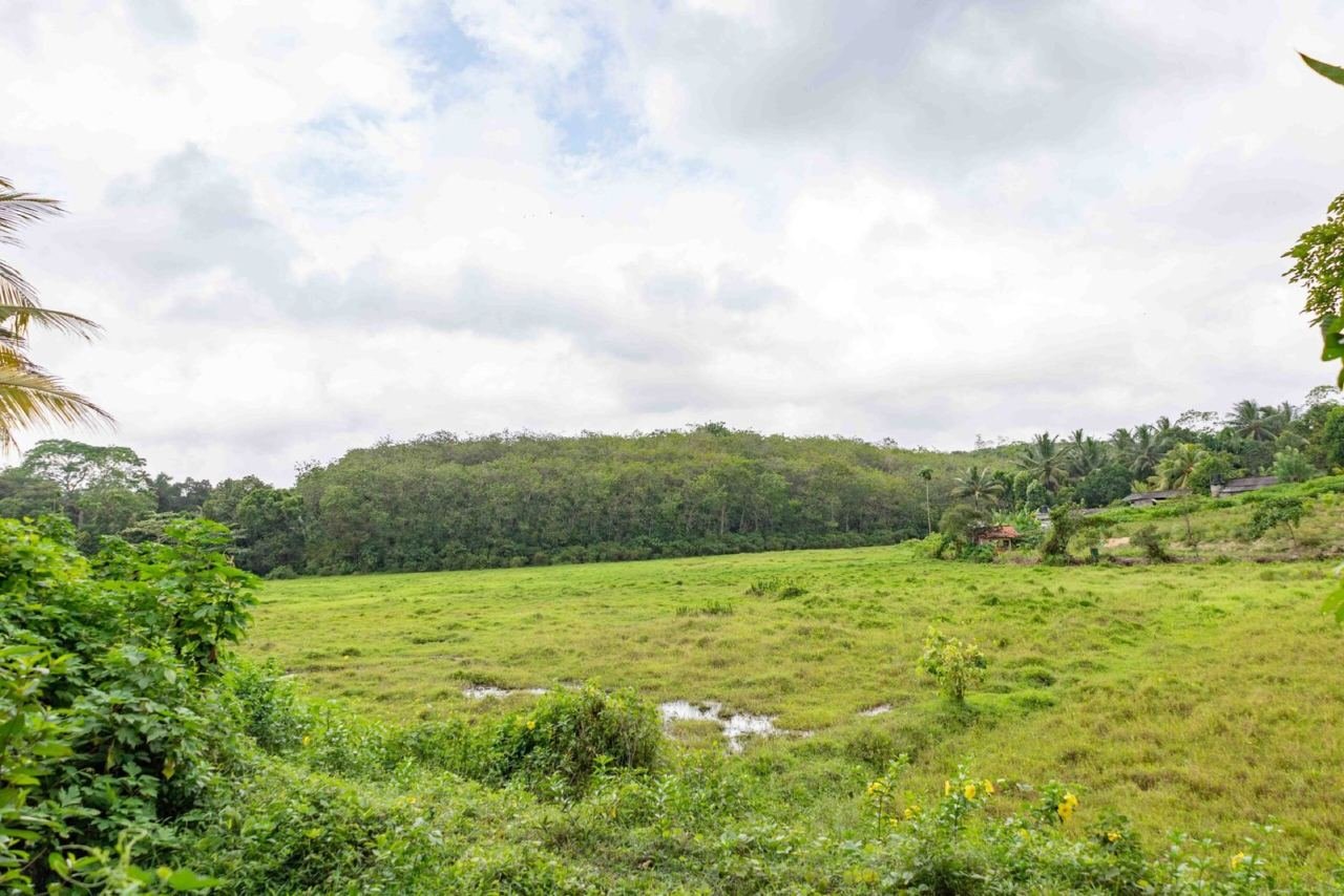 Land for sale in Homagama Pitipana - photo 5