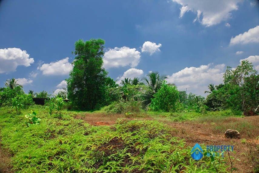 Land for sale in Horana - Ingiriya - photo 2