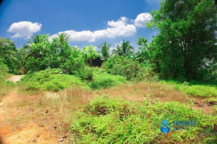 Land for sale in Horana - Ingiriya - photo 3