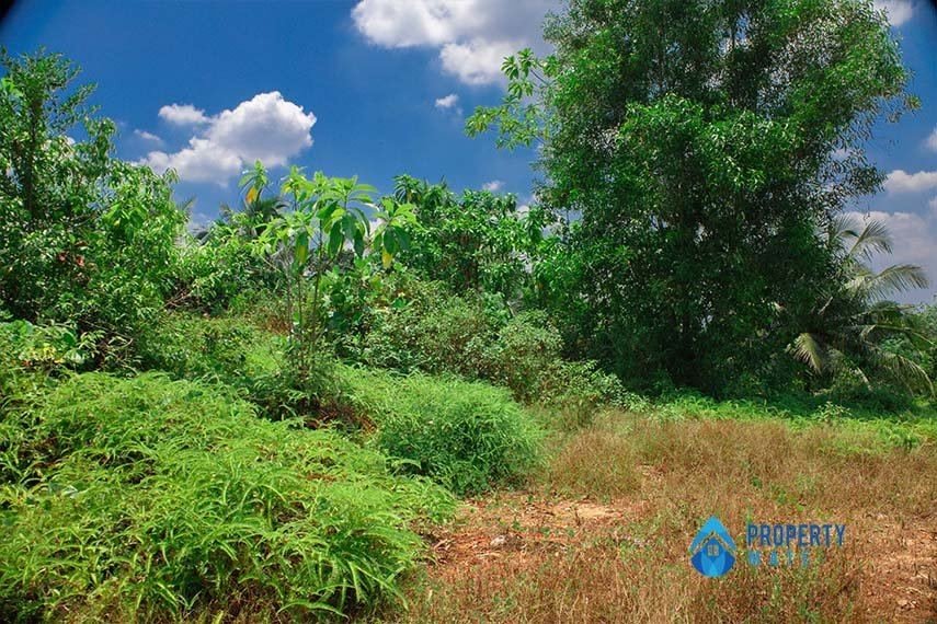 Land for sale in Horana - Ingiriya - photo 4