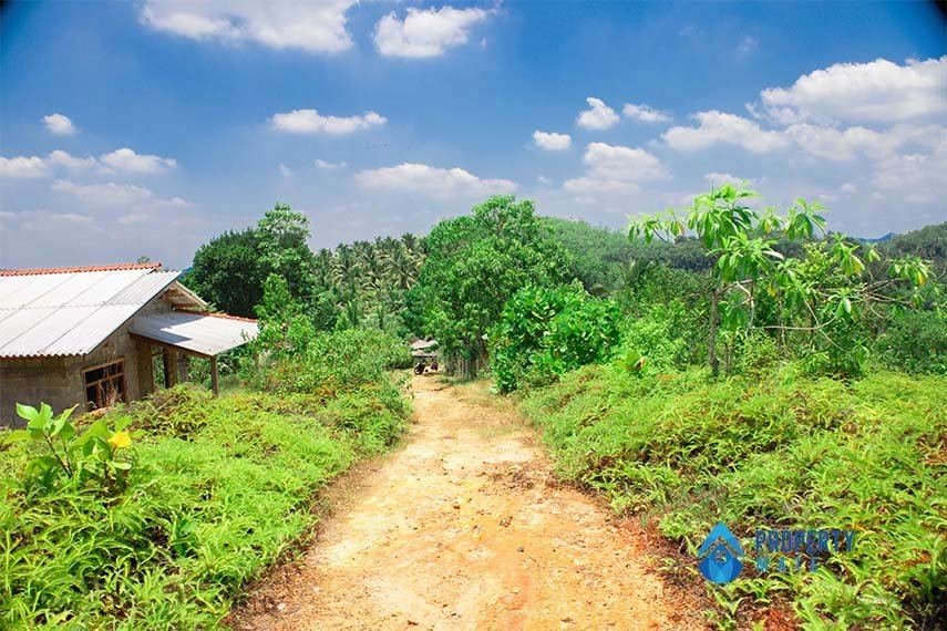 Land for sale in Horana - Ingiriya - photo 5
