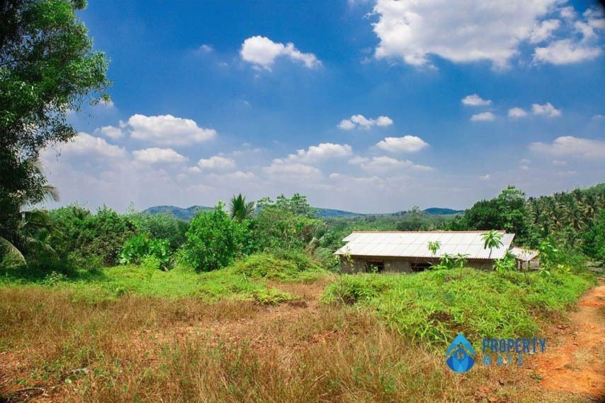 Land for sale in Horana - Ingiriya - photo 1