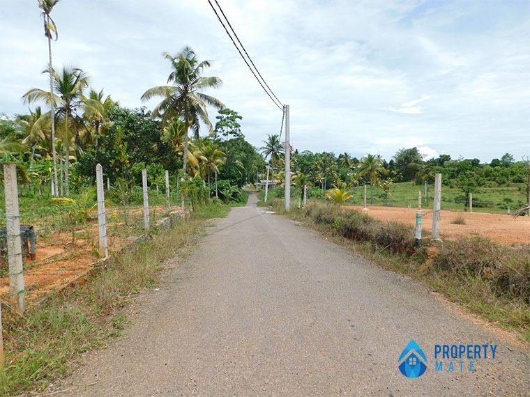 Land for sale in Wadduwa Kalutara - photo 4