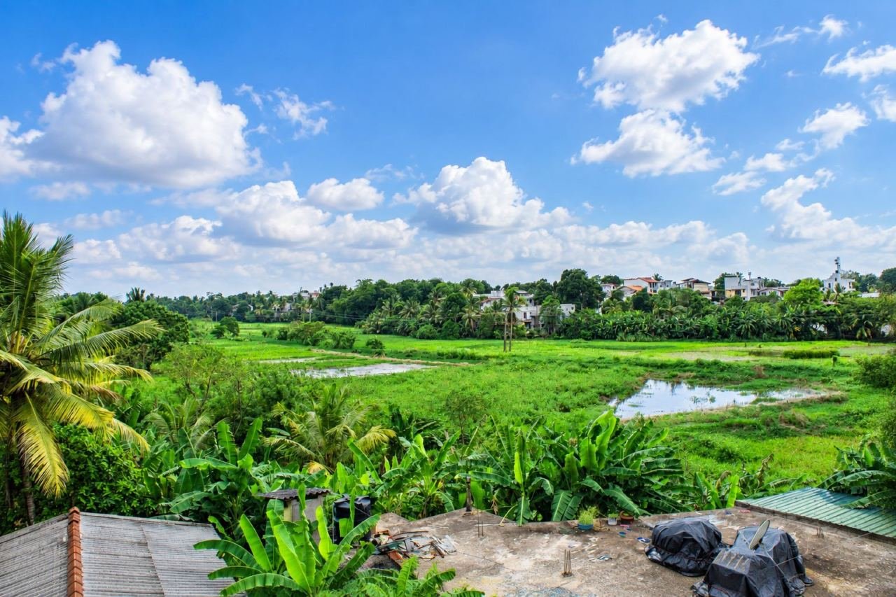 Tropical rice fields under cloudy skies – Three storey House for sale in Maharagama Pamunuwa