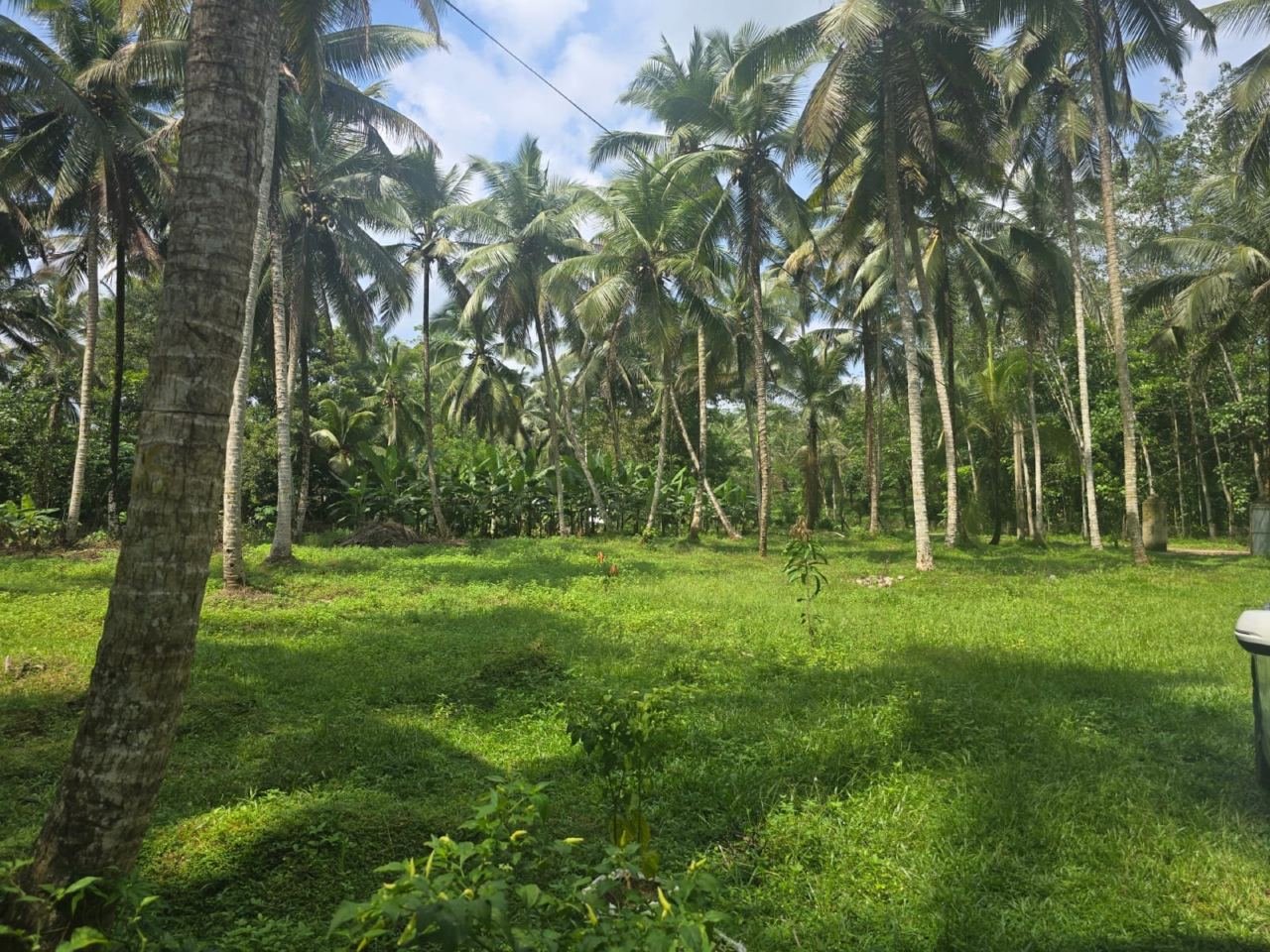 1 Acers Land for sale in Horana Ingiriya - photo 3
