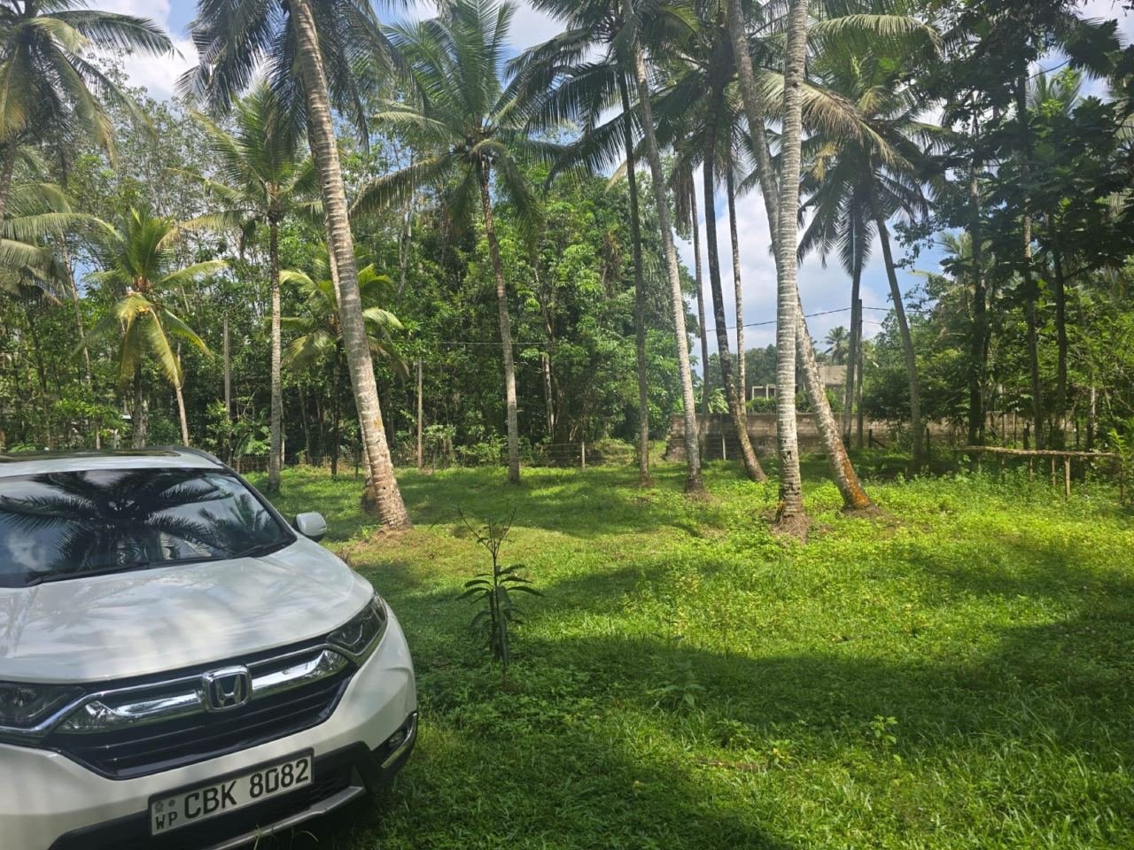 1 Acers Land for sale in Horana Ingiriya - photo 4