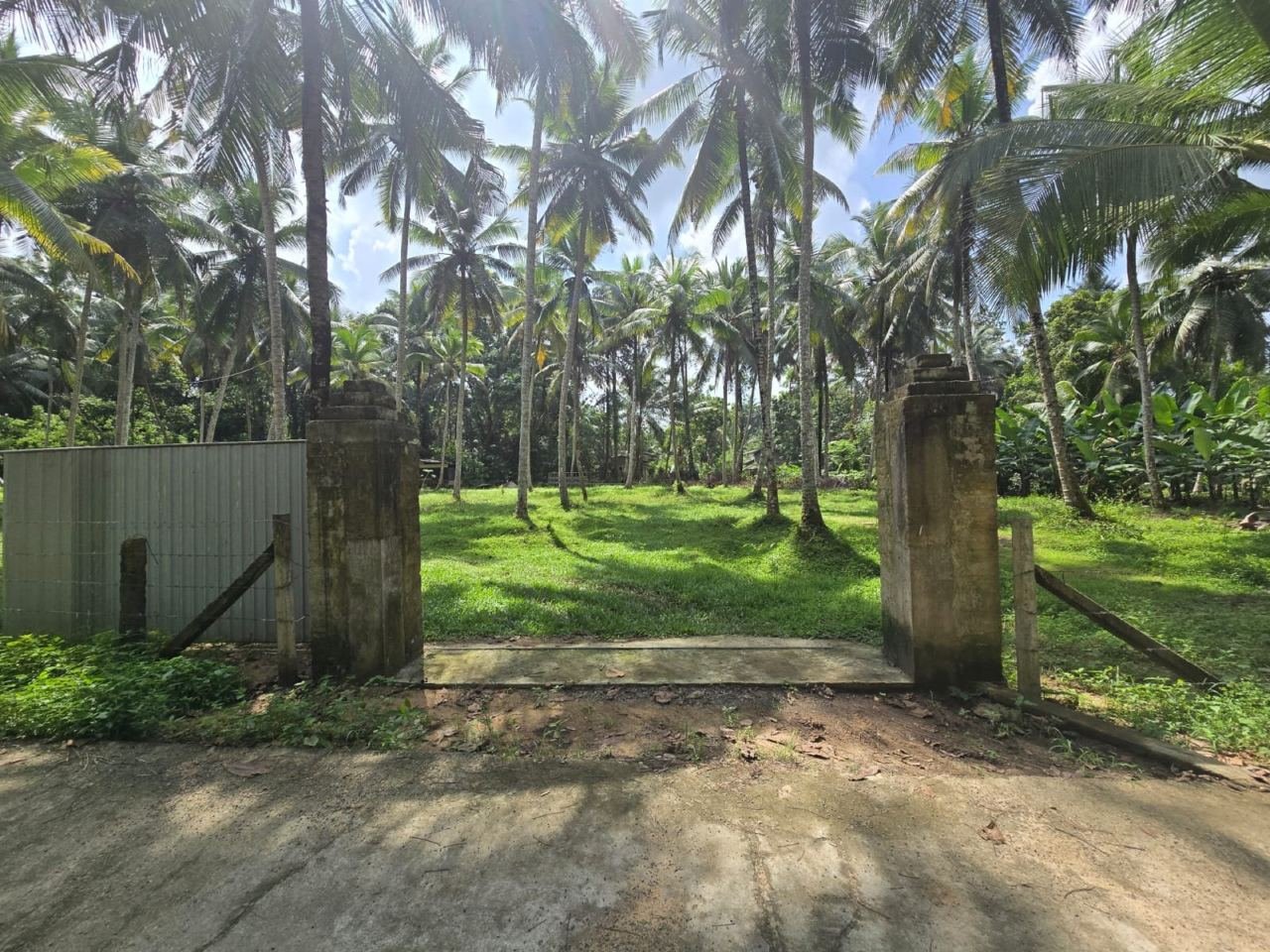 1 Acers Land for sale in Horana Ingiriya - photo 2