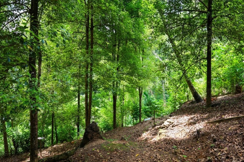 3 Acers Land with house for sale in Matale Ukuwela