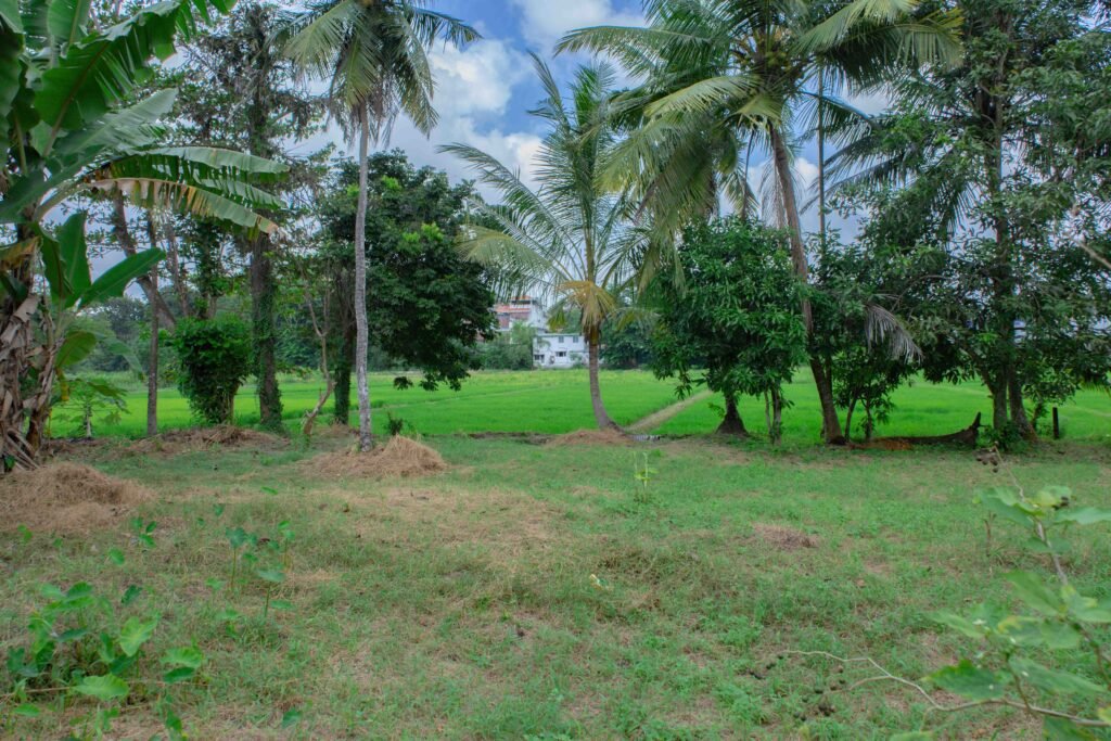 Land for sale in Hokandara Talawatugoda