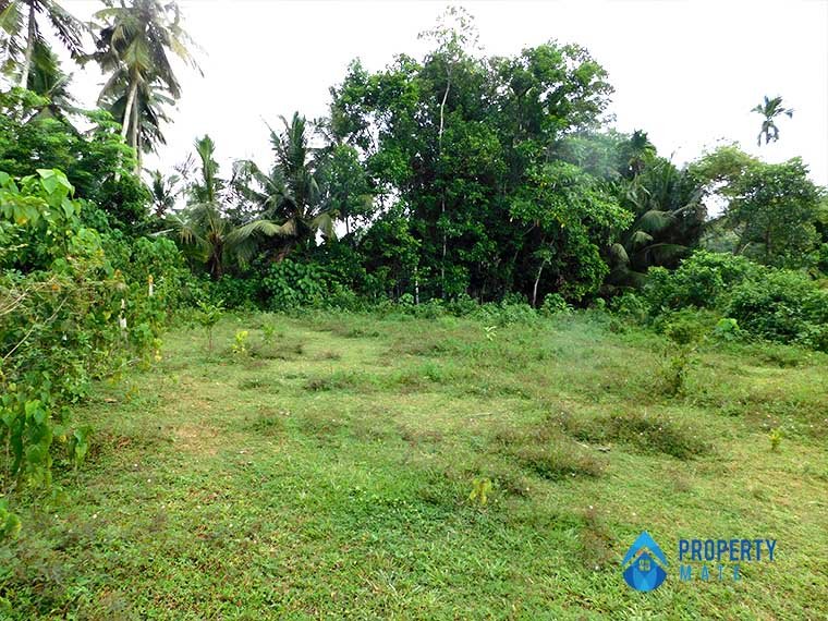 Land for sale in Horana Pokunuvita