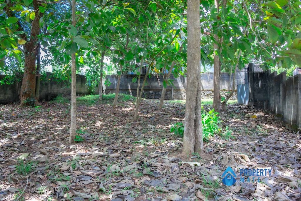 Land for sale in Wadduwa