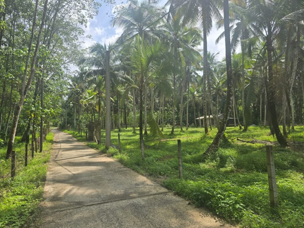 1 Acers Land for sale in Horana Ingiriya