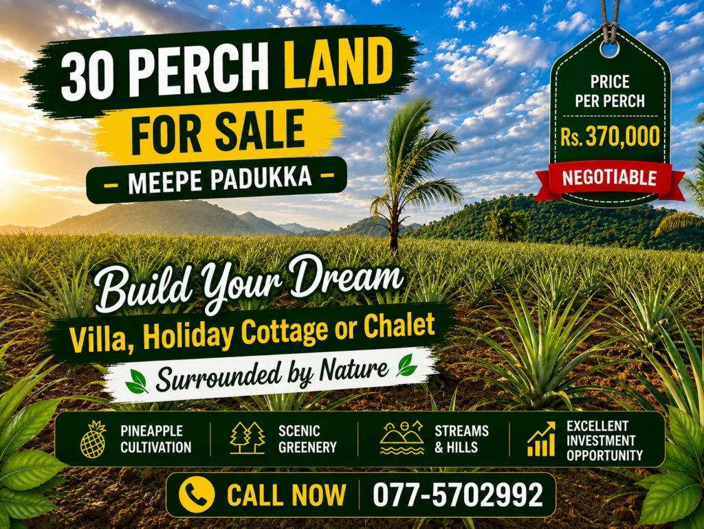 30-perch cultivated land for sale in Padukka Meepe