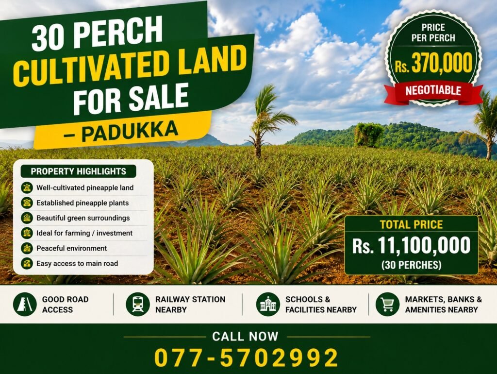 30 Perch Cultivated Land for Sale in Padukka