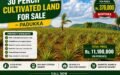 30 Perch Cultivated Land for Sale in Padukka